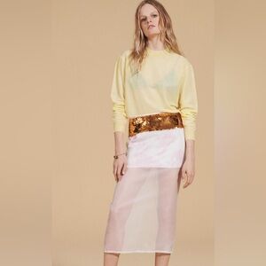 Zara Silk Sequin Organza Skirt